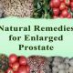 Natural Herbal Remedies for Prostate Enlargement Relief | The Ultimate Herbal Remedies Guide: Natural Healing for a Healthier Life
