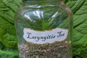 Best Herbal Tea for Laryngitis: Soothe Your Sore Throat | The Ultimate Herbal Remedies Guide: Natural Healing for a Healthier Life