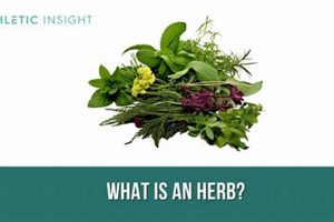 Unlocking Herbal Meaning: Benefits & Uses Explored The Ultimate Herbal Remedies Guide: Natural Healing for a Healthier Life Unlocking Herbal Meaning: Benefits & Uses Explored | The Ultimate Herbal Remedies Guide: Natural Healing for a Healthier Life