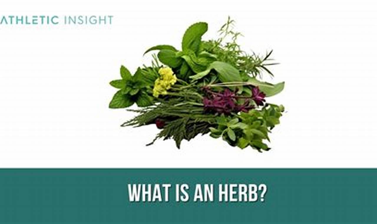 Unlocking Herbal Meaning: Benefits & Uses Explored | The Ultimate Herbal Remedies Guide: Natural Healing for a Healthier Life