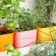 Grow Your Own: Herbal Garden Indoor Oasis | The Ultimate Herbal Remedies Guide: Natural Healing for a Healthier Life