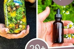 DIY Herbal Tinctures Recipes: Easy & Potent Blends The Ultimate Herbal Remedies Guide: Natural Healing for a Healthier Life DIY Herbal Tinctures Recipes: Easy & Potent Blends | The Ultimate Herbal Remedies Guide: Natural Healing for a Healthier Life