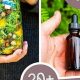 DIY Herbal Tinctures Recipes: Easy & Potent Blends | The Ultimate Herbal Remedies Guide: Natural Healing for a Healthier Life