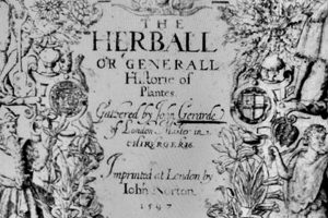 Learn Herbals: Your Essential Herball Guide Today! The Ultimate Herbal Remedies Guide: Natural Healing for a Healthier Life Learn Herbals: Your Essential Herball Guide Today! | The Ultimate Herbal Remedies Guide: Natural Healing for a Healthier Life