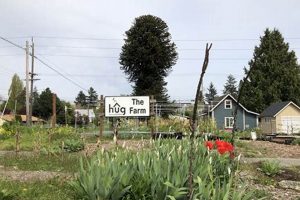 Explore Herbal Gardens Tacoma: A Local's Guide The Ultimate Herbal Remedies Guide: Natural Healing for a Healthier Life Explore Herbal Gardens Tacoma: A Local's Guide | The Ultimate Herbal Remedies Guide: Natural Healing for a Healthier Life