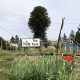 Explore Herbal Gardens Tacoma: A Local's Guide | The Ultimate Herbal Remedies Guide: Natural Healing for a Healthier Life