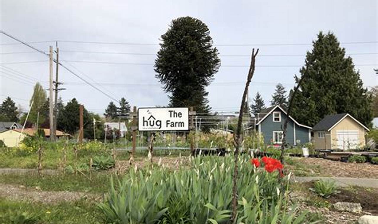 Explore Herbal Gardens Tacoma: A Local's Guide | The Ultimate Herbal Remedies Guide: Natural Healing for a Healthier Life