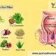 Natural Herbal Remedies for Hemorrhoids in Women - Relief! | The Ultimate Herbal Remedies Guide: Natural Healing for a Healthier Life
