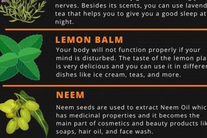 Natural Herbal Plants and Their Uses: A Guide The Ultimate Herbal Remedies Guide: Natural Healing for a Healthier Life Natural Herbal Plants and Their Uses: A Guide | The Ultimate Herbal Remedies Guide: Natural Healing for a Healthier Life