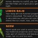 Natural Herbal Plants and Their Uses: A Guide | The Ultimate Herbal Remedies Guide: Natural Healing for a Healthier Life