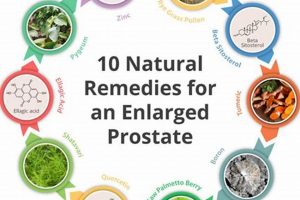 Natural: Herbal Treatment for Prostate Problems Relief | The Ultimate Herbal Remedies Guide: Natural Healing for a Healthier Life