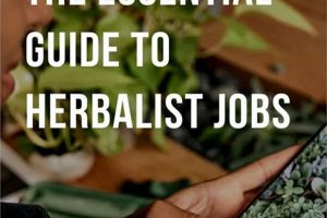 Your Herbalism Jobs Career: Find Botanical Jobs Here! The Ultimate Herbal Remedies Guide: Natural Healing for a Healthier Life Your Herbalism Jobs Career: Find Botanical Jobs Here! | The Ultimate Herbal Remedies Guide: Natural Healing for a Healthier Life