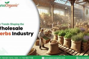 Bulk Herbal Wholesale: Your Guide to Natural Herbs | The Ultimate Herbal Remedies Guide: Natural Healing for a Healthier Life