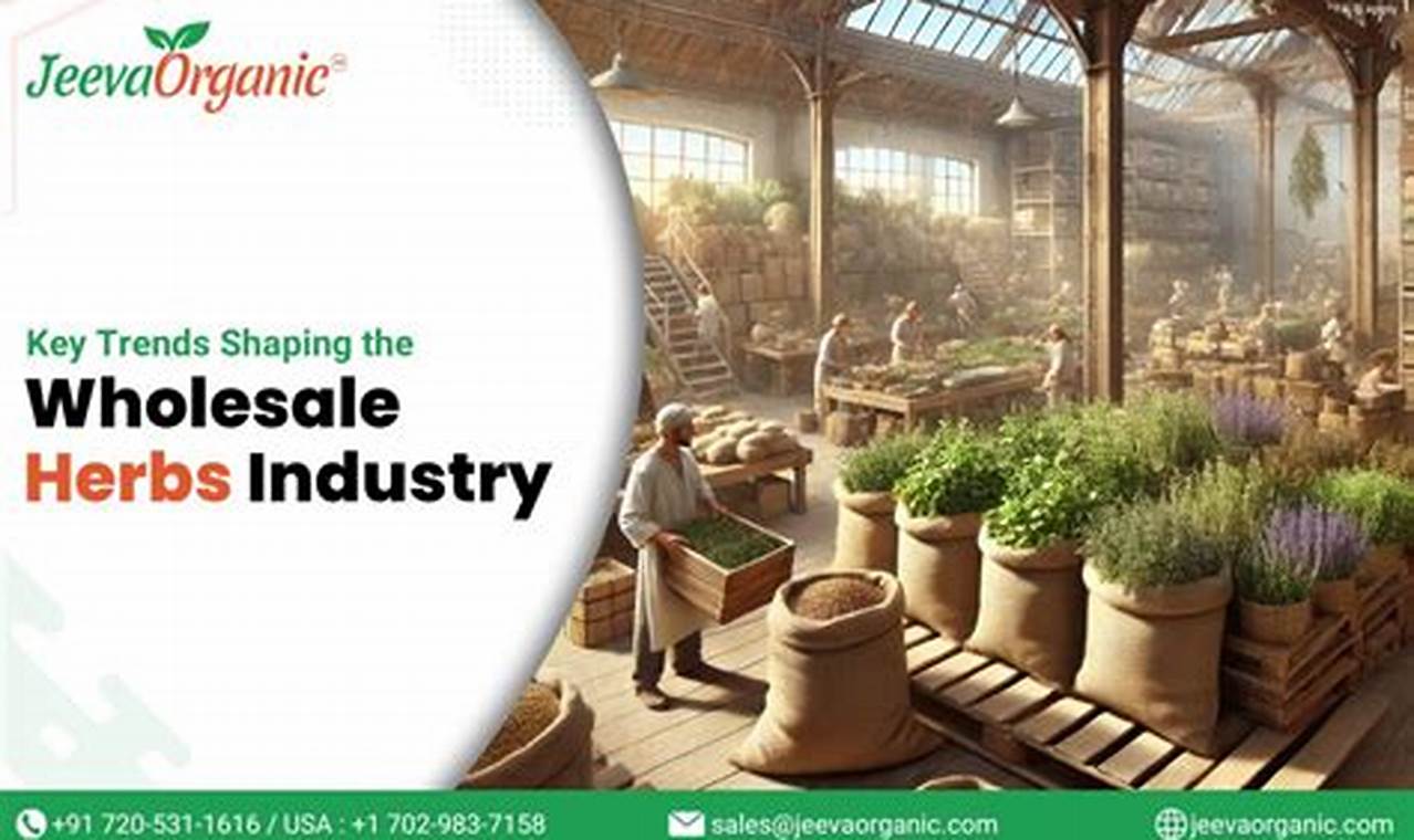 Bulk Herbal Wholesale: Your Guide to Natural Herbs | The Ultimate Herbal Remedies Guide: Natural Healing for a Healthier Life