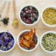 Tea Time: Can Herbal Tea Dehydrate You? Fact vs. Fiction | The Ultimate Herbal Remedies Guide: Natural Healing for a Healthier Life