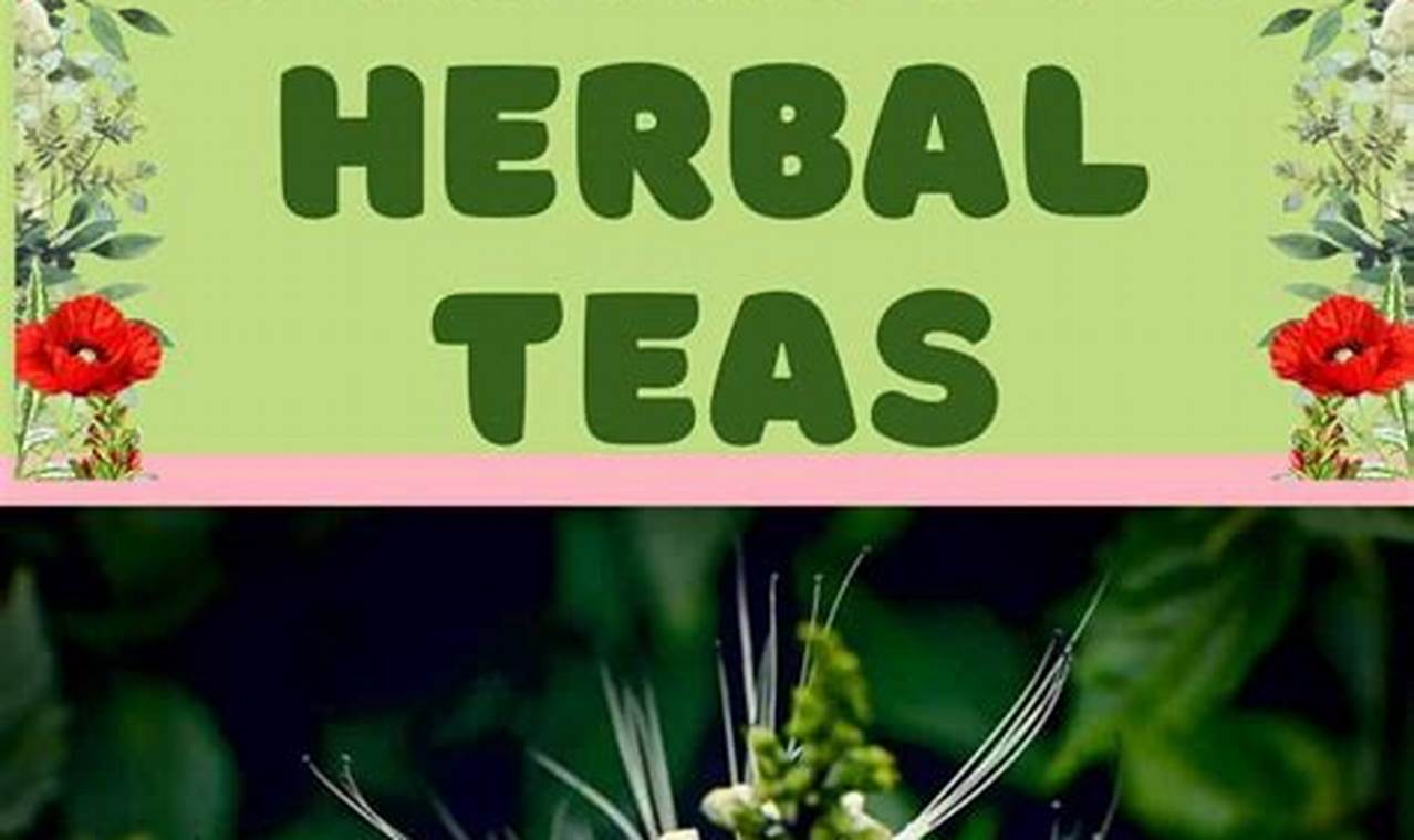 Natural Diuretic Herbal Tea: Benefits &amp; Side Effects | The Ultimate Herbal Remedies Guide: Natural Healing for a Healthier Life