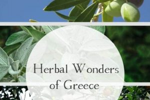 Discover Herbal Wonders: Nature's Healing Secrets | The Ultimate Herbal Remedies Guide: Natural Healing for a Healthier Life