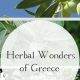 Discover Herbal Wonders: Nature's Healing Secrets | The Ultimate Herbal Remedies Guide: Natural Healing for a Healthier Life