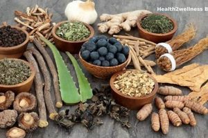 What is Herbalism? Define Plant-Based Healing + Uses | The Ultimate Herbal Remedies Guide: Natural Healing for a Healthier Life