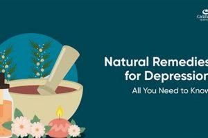 Natural Depression Herbal Remedies: A Guide + Tips | The Ultimate Herbal Remedies Guide: Natural Healing for a Healthier Life