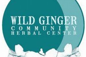 Your Local Wild Ginger Herbal Center: Natural Remedies | The Ultimate Herbal Remedies Guide: Natural Healing for a Healthier Life