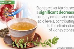 Herbal Teas &amp; Kidneys: Do Herbal Teas Cause Kidney Stones? Risks &amp; Info | The Ultimate Herbal Remedies Guide: Natural Healing for a Healthier Life