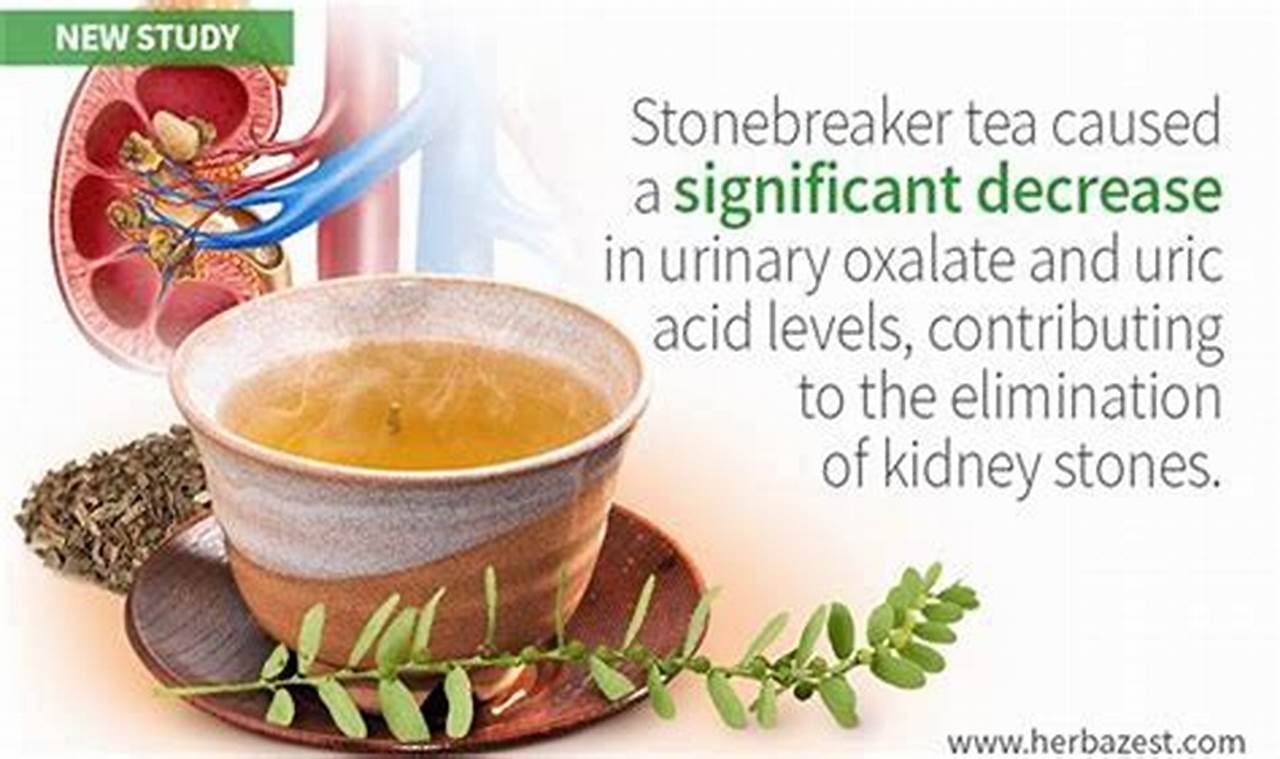 Herbal Teas &amp; Kidneys: Do Herbal Teas Cause Kidney Stones? Risks &amp; Info | The Ultimate Herbal Remedies Guide: Natural Healing for a Healthier Life