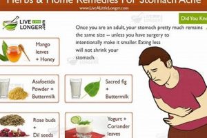 Best Herbal Remedies for Stomach Pain: Natural Relief | The Ultimate Herbal Remedies Guide: Natural Healing for a Healthier Life