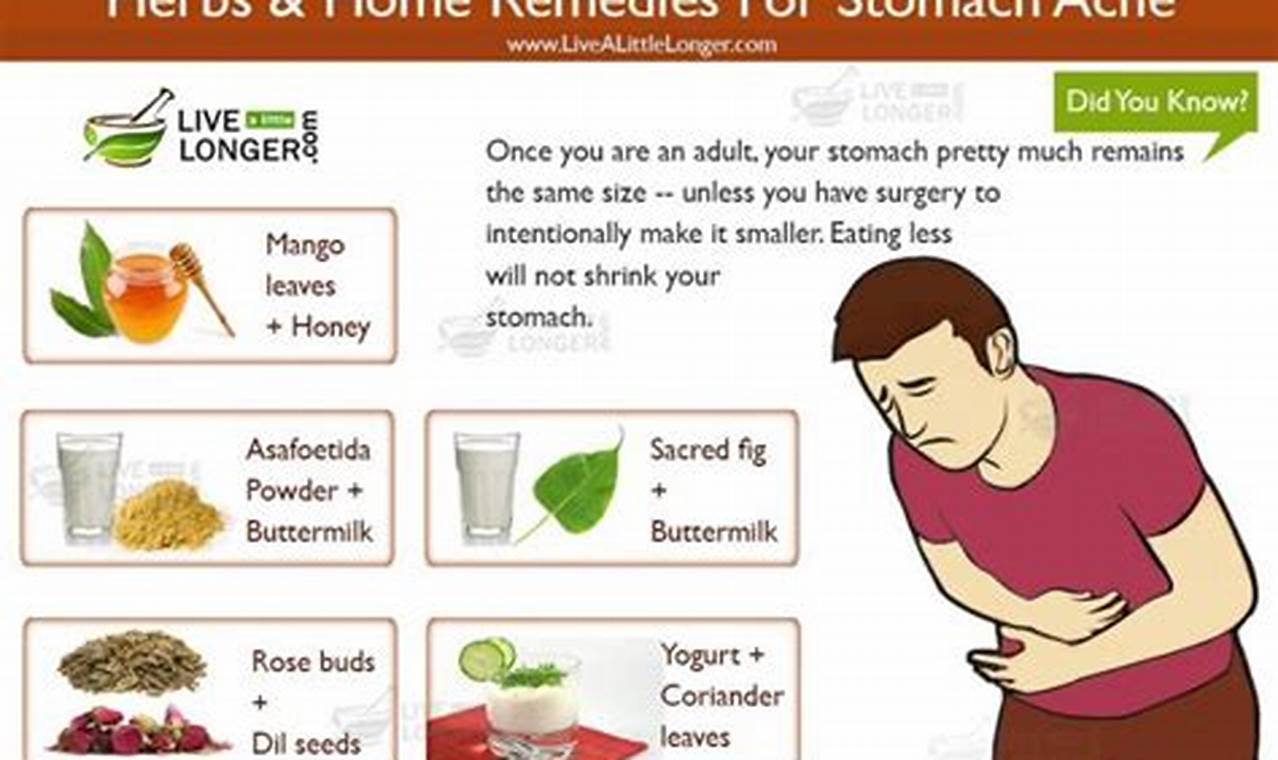Best Herbal Remedies for Stomach Pain: Natural Relief | The Ultimate Herbal Remedies Guide: Natural Healing for a Healthier Life