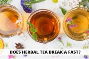 Herbal Tea & Fasting: Does Herbal Tea Break a Fast? | The Ultimate Herbal Remedies Guide: Natural Healing for a Healthier Life