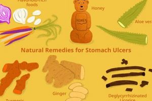 Natural Herbal Remedies for Ulcers: Relief Now! | The Ultimate Herbal Remedies Guide: Natural Healing for a Healthier Life