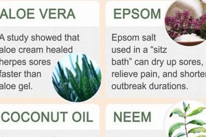 Natural Herbal Remedies for Herpes Relief & Prevention | The Ultimate Herbal Remedies Guide: Natural Healing for a Healthier Life