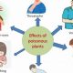 Herbal Poisoning: Risks, Symptoms &amp; Prevention Tips | The Ultimate Herbal Remedies Guide: Natural Healing for a Healthier Life