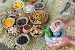 Unlock Ayurvedic Herbal Power: Natural Wellness | The Ultimate Herbal Remedies Guide: Natural Healing for a Healthier Life