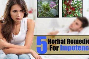 Best Natural Herbal Remedies for Impotence: Boost Libido | The Ultimate Herbal Remedies Guide: Natural Healing for a Healthier Life