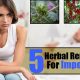 Best Natural Herbal Remedies for Impotence: Boost Libido | The Ultimate Herbal Remedies Guide: Natural Healing for a Healthier Life