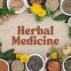 Best Herbal Com Shop: Your Premium Herbals & More | The Ultimate Herbal Remedies Guide: Natural Healing for a Healthier Life