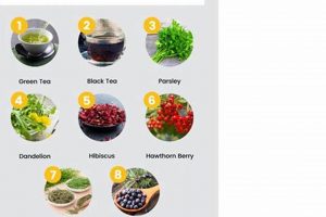 Natural Best Herbal Diuretic: Benefits & Risks Guide | The Ultimate Herbal Remedies Guide: Natural Healing for a Healthier Life