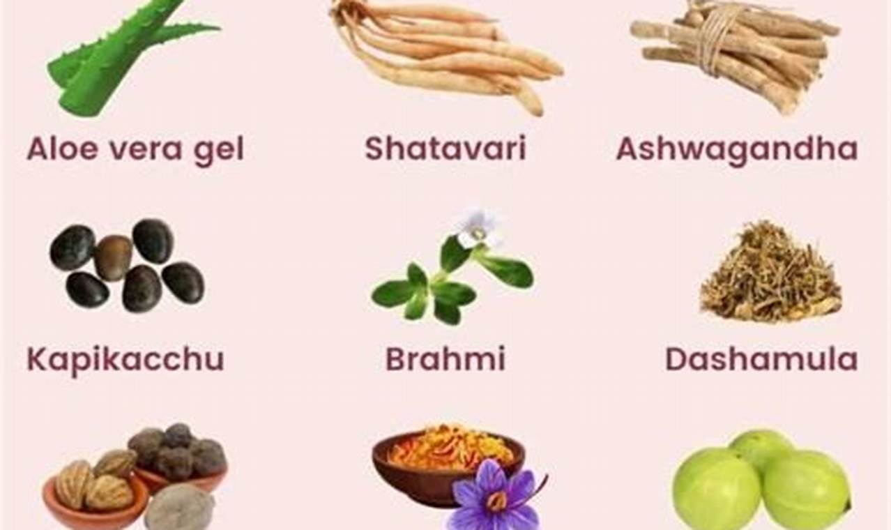 Natural Herbal Supplements for Hot Flashes Relief | The Ultimate Herbal Remedies Guide: Natural Healing for a Healthier Life