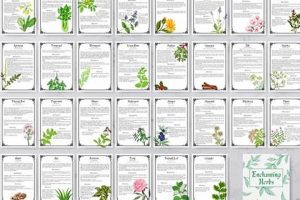 The Herbal Grimoire: Lore & Uses [Herbalism Guide] | The Ultimate Herbal Remedies Guide: Natural Healing for a Healthier Life