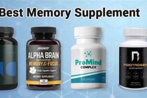 Best Memory Loss Herbal Supplements: Boost Your Brain Now! | The Ultimate Herbal Remedies Guide: Natural Healing for a Healthier Life