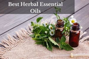 Unlock Herbal Essentials: Your Guide + Benefits | The Ultimate Herbal Remedies Guide: Natural Healing for a Healthier Life
