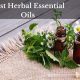 Unlock Herbal Essentials: Your Guide + Benefits | The Ultimate Herbal Remedies Guide: Natural Healing for a Healthier Life