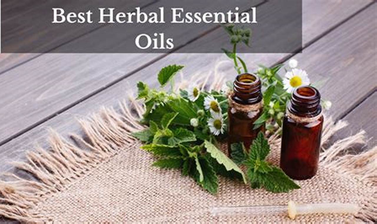 Unlock Herbal Essentials: Your Guide + Benefits | The Ultimate Herbal Remedies Guide: Natural Healing for a Healthier Life