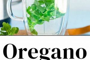 Brewing Benefits: Oregano Herbal Tea, Your Wellness Cup | The Ultimate Herbal Remedies Guide: Natural Healing for a Healthier Life