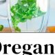 Brewing Benefits: Oregano Herbal Tea, Your Wellness Cup | The Ultimate Herbal Remedies Guide: Natural Healing for a Healthier Life