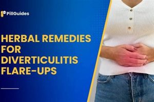Natural Herbal Remedies for Diverticulitis Flare-Up Relief | The Ultimate Herbal Remedies Guide: Natural Healing for a Healthier Life