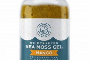 The Power of Herbal Vineyards: A Natural Wine Future | The Ultimate Herbal Remedies Guide: Natural Healing for a Healthier Life