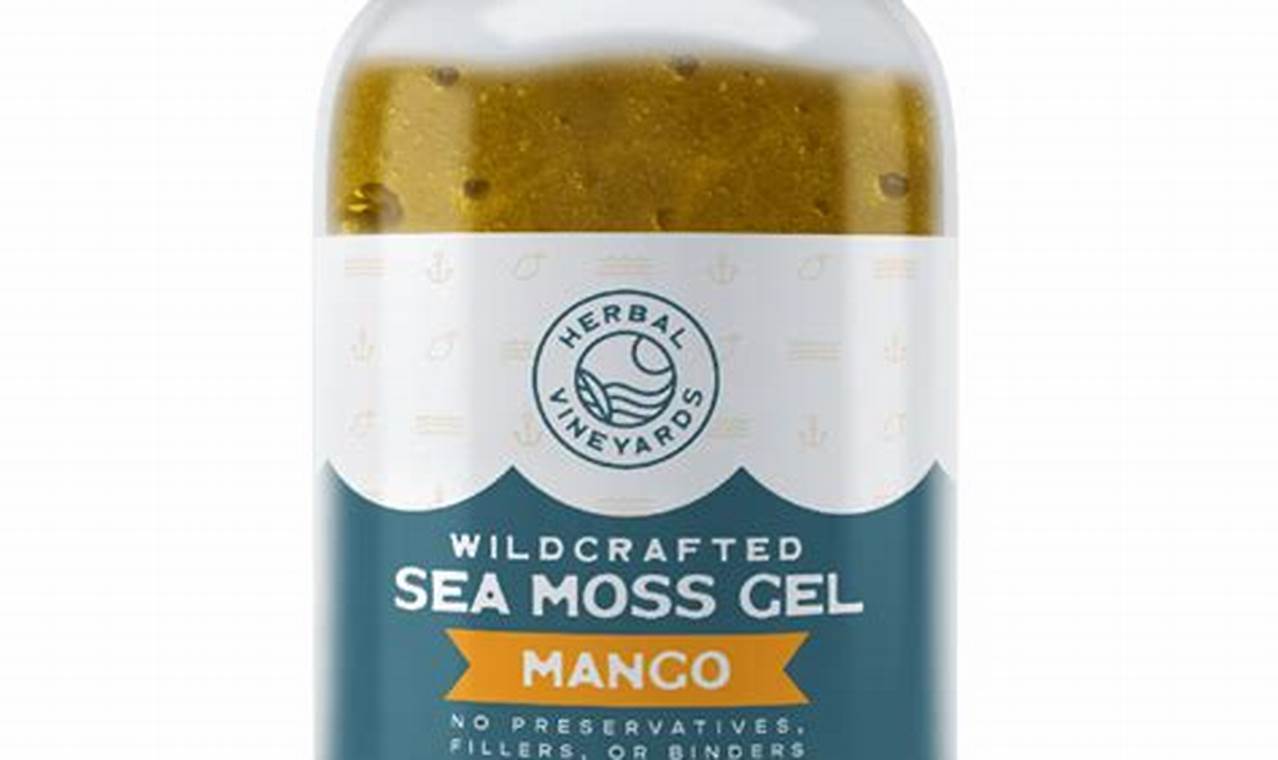 The Power of Herbal Vineyards: A Natural Wine Future | The Ultimate Herbal Remedies Guide: Natural Healing for a Healthier Life