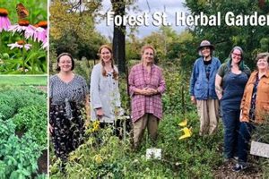 Grow Health: The Herbal Gardens Inc Wellness | The Ultimate Herbal Remedies Guide: Natural Healing for a Healthier Life